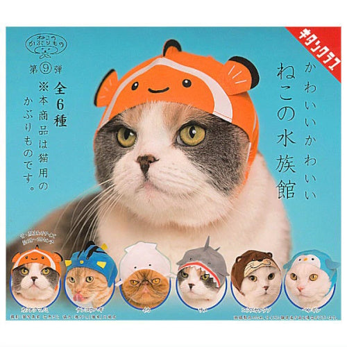 cat in a hat dress up Cat in the Hat Costume