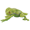 Animalier Collection Common Rain Frog And Waxy Tree Frog SO-TA 1/1 Scale Figure
