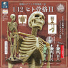 Natural History Museum 1/12 Human Skeleton Vol. 02 SO-TA 6-Inch Collectible Figure