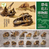 Dinosaur Series Excavation Museum Fossil Skull Yell 2-Inch Collectible Toy