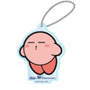 Kirby 30th Anniversary Acrylic Stand Vol. 02 Twinkle Collectible Toy