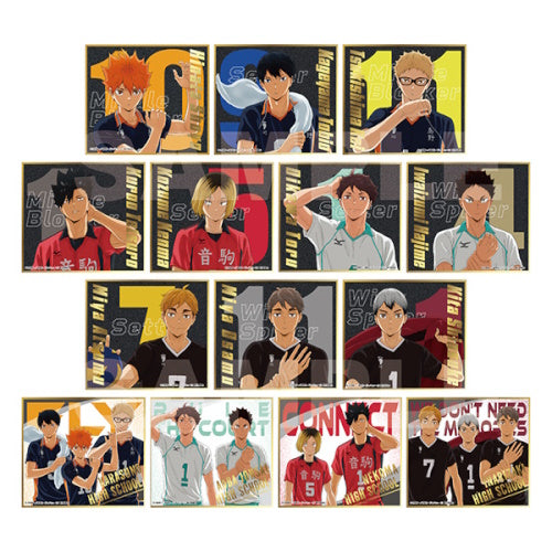 Haikyu!! Shikishi Art Board Ensky Collectible Square Art Print
