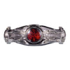 Kamen Rider Ringcolle DX Bandai Collectible Metal Ring