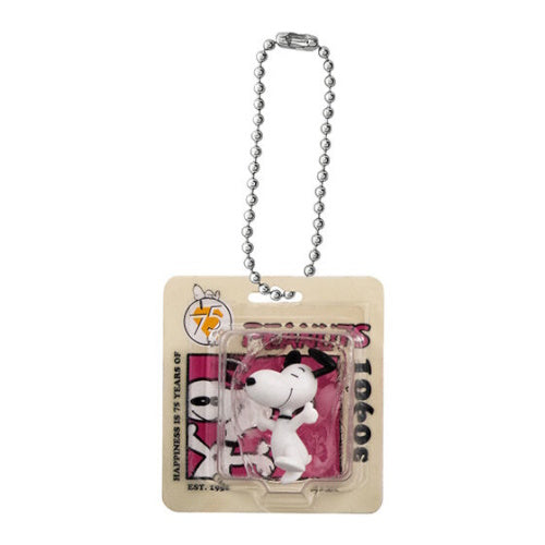 Peanuts Snoopy Package Miniature Collection Bandai 2-Inch Key Chain