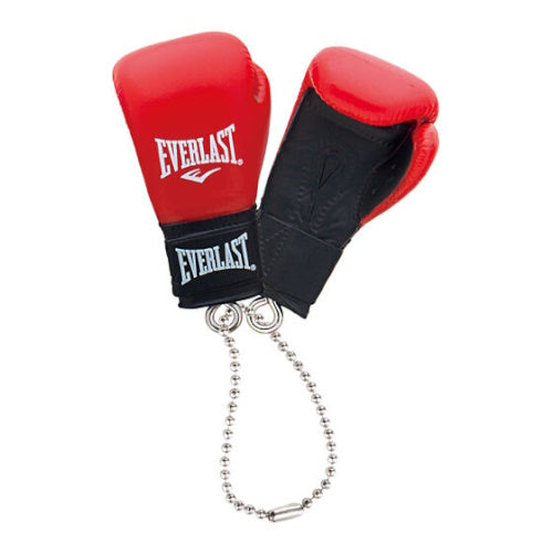 EVERLAST Boxing Glove Swing Series Bandai 2-Inch Key Chain