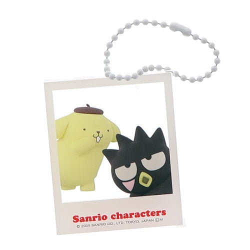 Sanrio Characters Pose Polaroid Picture Series Benelic 2-Inch Key Chain