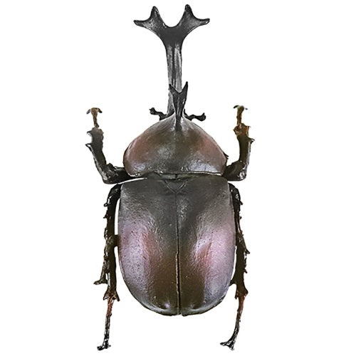 Insect Hunter Beetle X Stag Beetle F-Toys 3-Inch Mini-Figure