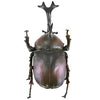Insect Hunter Beetle X Stag Beetle F-Toys 3-Inch Mini-Figure