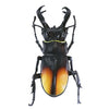 Insect Hunter Beetle X Stag Beetle F-Toys 3-Inch Mini-Figure