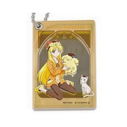 Sailor Moon x Sanrio Characters Slide Mirror Hasepro 3-Inch Collectible