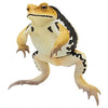 Nature Techni Color Japanese Common Toad Ikimon 4.5-Inch Mini-Figure