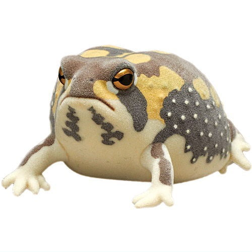Nature Techni Color Flocked Common Rain Frog Ikimon 2-Inch Mini-Figure
