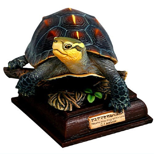 Nature Techni Color Japanese Turtle Special Edition Ikimon 2-Inch Mini-Figure