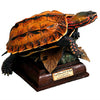 Nature Techni Color Japanese Turtle Special Edition Ikimon 2-Inch Mini-Figure