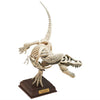 Nature Techni Color Paleontology Prehistoric Life Ikimon 3-Inch Mini-Figure