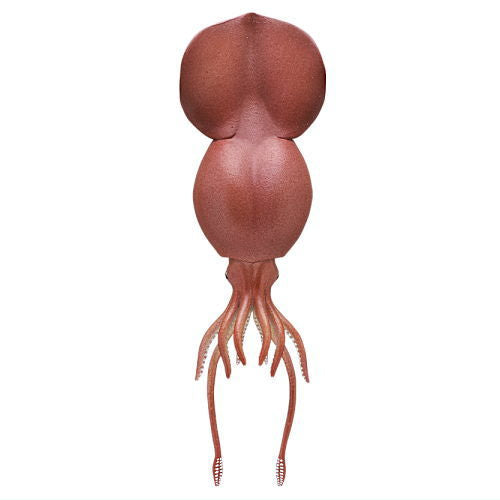 Nature Techni Color Mono Plus Deep Sea Organism Series Ikimon Collectible Item