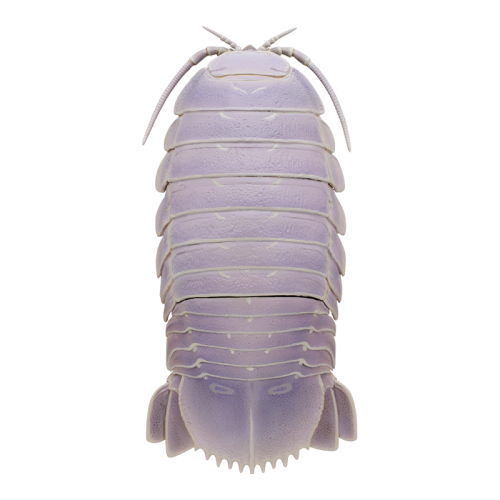 Nature Techni Color Mono Plus Deep Sea Organism Series Ikimon Collectible Item