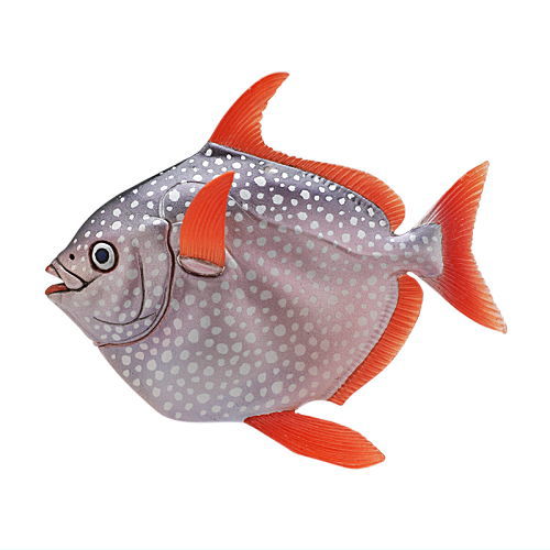 Nature Techni Color Mono Plus Deep Sea Organism Series Ikimon Collectible Item