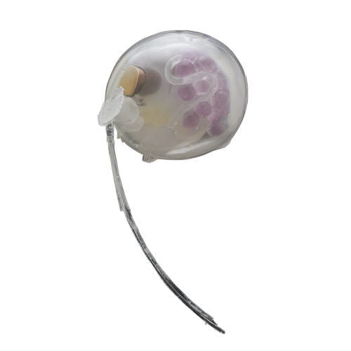 Nature Techni Color Mono Plus Deep Sea Organism Series Ikimon Collectible Item