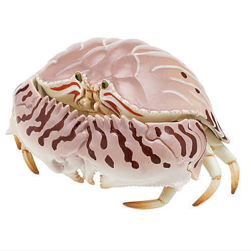 Nature Techni Color Sea Creatures Series Vol. 02 Ikimon Mini-Figure