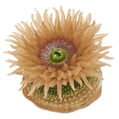 Nature Techni Color Sea Creatures Series Vol. 02 Ikimon Mini-Figure