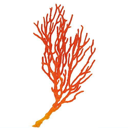 Nature Techni Color Sea Creatures Series Vol. 02 Ikimon Mini-Figure