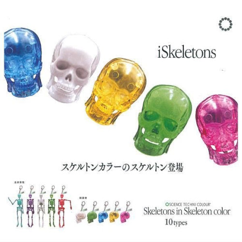 Science Techni Color Skeletons In Color Ikimon 2.5-Inch Key Chain
