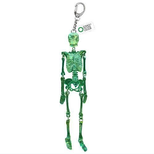 Science Techni Color Skeletons In Color Ikimon 2.5-Inch Key Chain