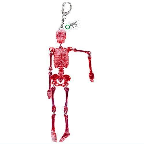 Science Techni Color Skeletons In Color Ikimon 2.5-Inch Key Chain