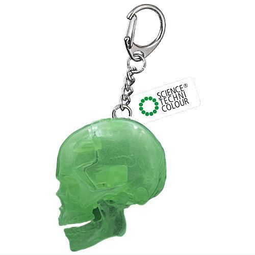 Science Techni Color Skeletons In Color Ikimon 2.5-Inch Key Chain