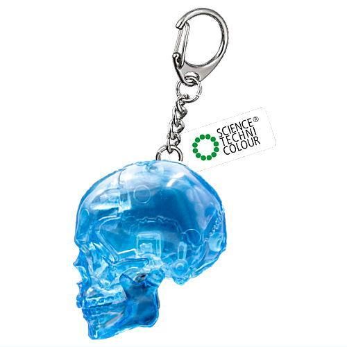 Science Techni Color Skeletons In Color Ikimon 2.5-Inch Key Chain