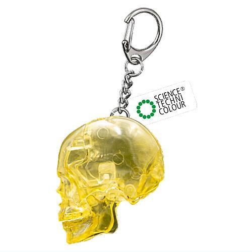 Science Techni Color Skeletons In Color Ikimon 2.5-Inch Key Chain