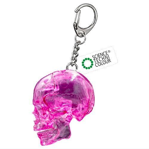 Science Techni Color Skeletons In Color Ikimon 2.5-Inch Key Chain