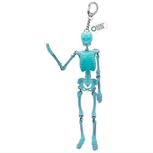Science Techni Color Skeletons In Color Ikimon 2.5-Inch Key Chain