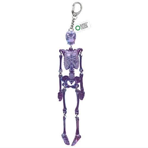 Science Techni Color Skeletons In Color Ikimon 2.5-Inch Key Chain