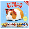 Guinea Pig Wearing Sunglasses Series Kitan Club 2-Inch Mini-Figure