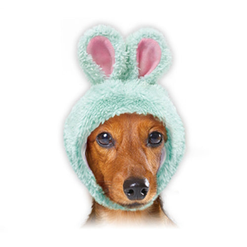 Pretend Animal Bunny Ears Peanuts Club Hat For Pets