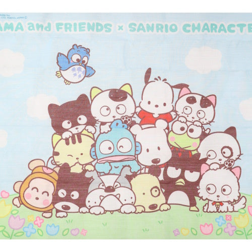Tama And Friends x Sanrio Outing Series Qualia Collectible Pouch