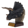 Realistic Dinosaur Head Series Qualia 3-Inch Mini-Figure