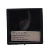 Genuine Fossil Of The World Series Vol. 01 Rainbow Collectible Trinket