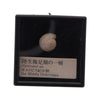 Genuine Fossil Of The World Series Vol. 01 Rainbow Collectible Trinket