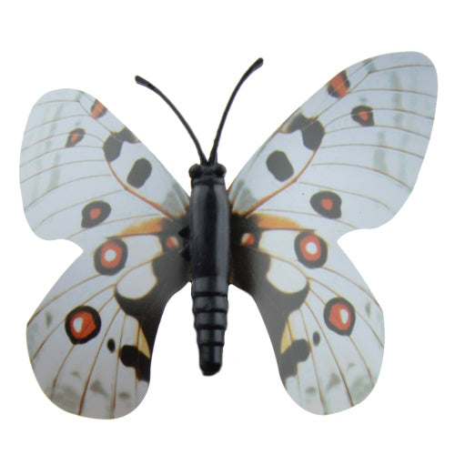 Butterflies Of The World Magnet Collection Vol. 02 Rainbow 2-Inch Collectible