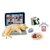 Petite Sample Life With Cats Re-Ment Miniature Doll Furniture