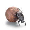 Animalier Collection Dung Beetle SO-TA 1/1 Scale Figure