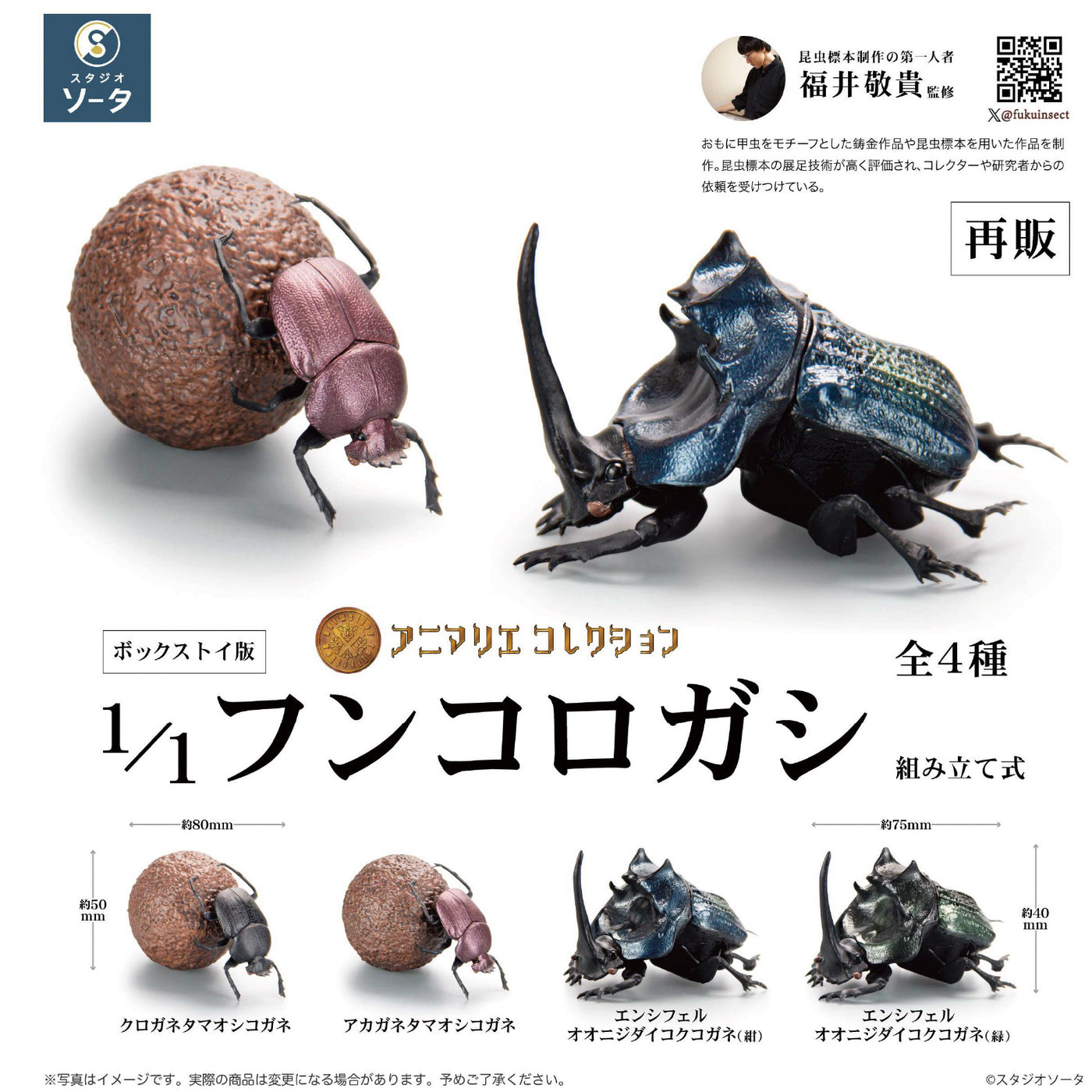Animalier Collection Dung Beetle SO-TA 1/1 Scale Figure