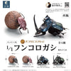 Animalier Collection Dung Beetle SO-TA 1/1 Scale Figure