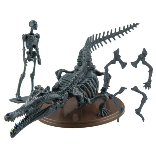 Natural History Modeling Club 3 Toyotamaphimeia Skeleton 1/35 SO-TA Mini-Figure