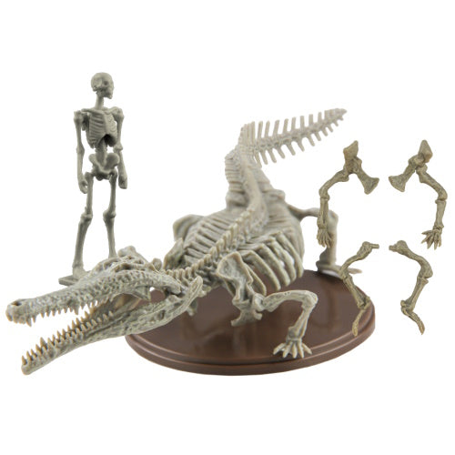 Natural History Modeling Club 3 Toyotamaphimeia Skeleton 1/35 SO-TA Mini-Figure