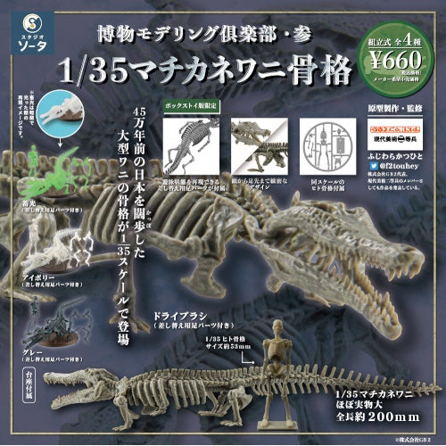 Natural History Modeling Club 3 Toyotamaphimeia Skeleton 1/35 SO-TA Mini-Figure