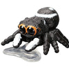 Cute Jumping Spider Figure Series Tarlin 1-Inch Mini-Figure